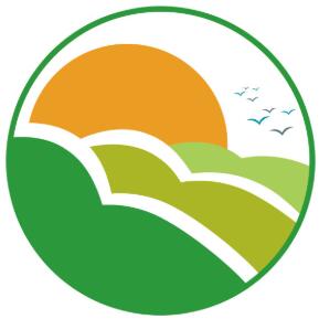 成都新闻信息网